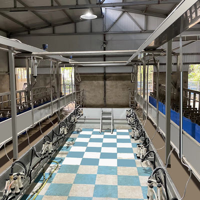 De Melkende Woonkamermateriaal van de schapen Parallel Snel Wijze Gemakkelijk te werken