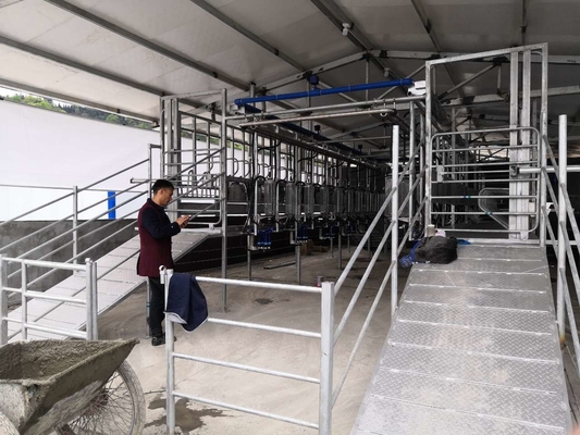 Van het de Melkende Machinesroestvrije staal van de Melkveehouderijgeit het Melkende Systeem