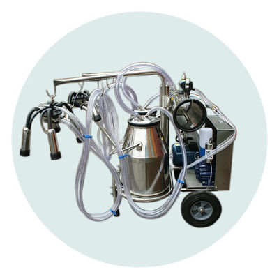 2 emmers 220L/Min Cow Farm Milk Machine 24 Koeien per Uur