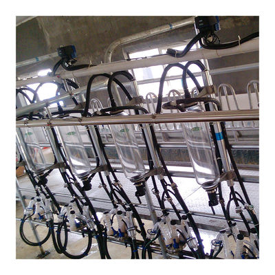De parallelle Machine van de de Melkende Woonkamer Automatische Melk van de Lijnen20t/h Visgraat
