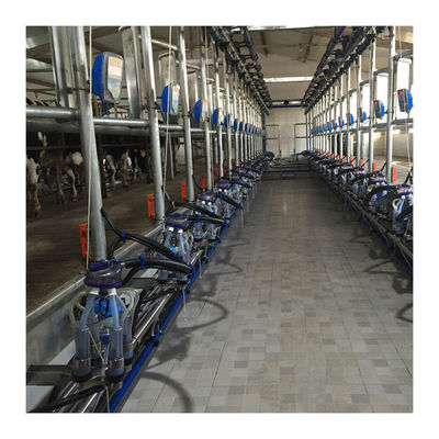 Werkende Vacuüm de Visgraat Melkende Machine van 50KPa 2.2kw voor Melkveehouderij