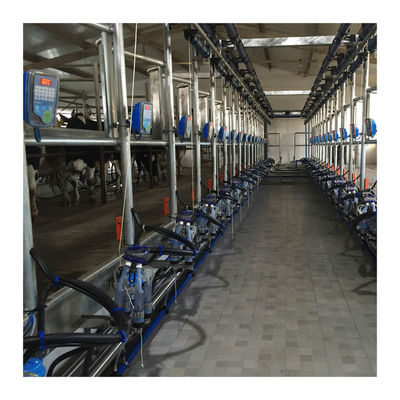 Werkende Vacuüm de Visgraat Melkende Machine van 50KPa 2.2kw voor Melkveehouderij