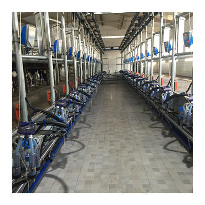 Werkende Vacuüm de Visgraat Melkende Machine van 50KPa 2.2kw voor Melkveehouderij