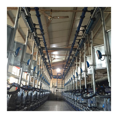 Werkende Vacuüm de Visgraat Melkende Machine van 50KPa 2.2kw voor Melkveehouderij