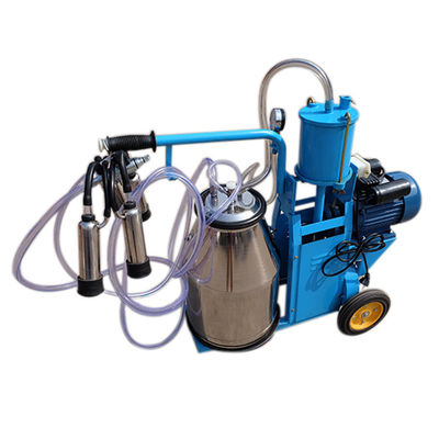 de Zuiger Melkende Machine van 110V 12 Cows/Hr voor Melkveehouderij