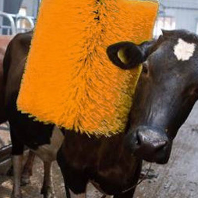 Van de het Materiaalkoe van het gevogeltefokken de Koe van de de Massageborstel Roterende het Scheren Borstel