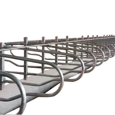 Hoogte 95cm Vrij de Roestbewijs van de Boxschuur voor Melkveehouderij