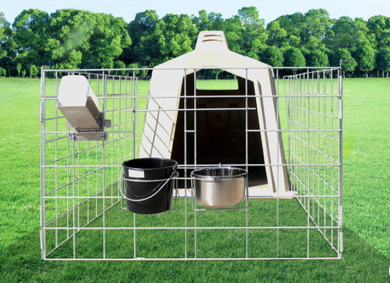 Gegalvaniseerd Mesh Length 220cm Plastic Kalf beschut gemakkelijk Schoon