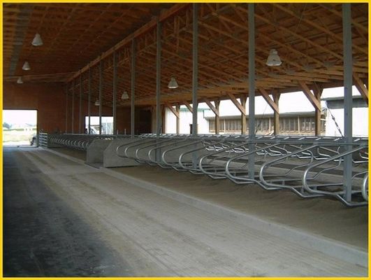 Hoofd - - hoofdtype1.30m/cow Omheining Cattle Free Stall Van regelbare grootte