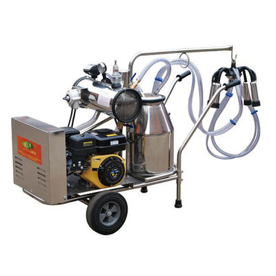 24cows/H automatisch de Schapen Melkend Materiaal van de Melkmachine SS304