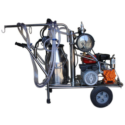 24cows/H automatisch de Schapen Melkend Materiaal van de Melkmachine SS304