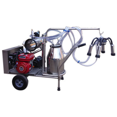 24cows/H automatisch de Schapen Melkend Materiaal van de Melkmachine SS304