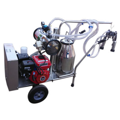 24cows/H automatisch de Schapen Melkend Materiaal van de Melkmachine SS304