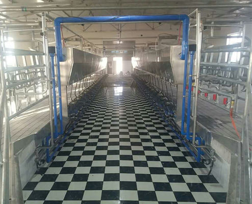 11kw vacuüm Parallelle de Woonkamer Melkende Systemen van 3800L 128 Koeien per Uren