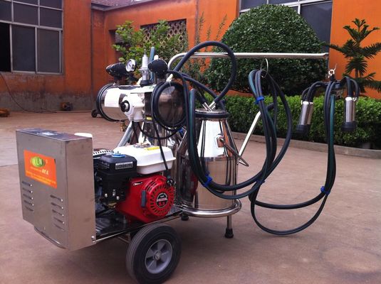 Draagbare SS van de Voedselrang Mobiele Melkende Machine met Benzinemotor