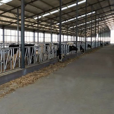 Hete Gegalvaniseerde Lengte 6m Veeheadlock Poort Anticorrosieve Pijp
