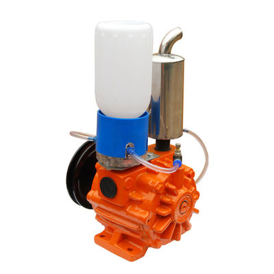 Het dubbele Hoge Vacuüm van 1Phase van Stadia Roterende Vane Type Vacuum Pump 220V 50Hz