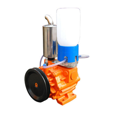 Het dubbele Hoge Vacuüm van 1Phase van Stadia Roterende Vane Type Vacuum Pump 220V 50Hz