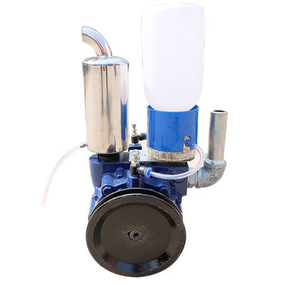 220V roterende Vane Vacuum Pump