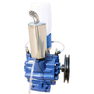 Vloeibare Ring Single Stage Rotary Vane-Vacuümpomp Elektrische Rem