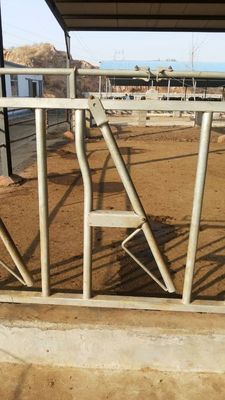 Aangepast Heet Gegalvaniseerd het Landbouwbedrijf van het Koe Hoofdslot het Voeden Materiaal