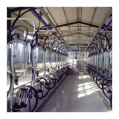 24-100 de Hoge Efficiënte Zuivelmachine van de de Melkende Woonkamer Melkveehouderij van de puntkoe