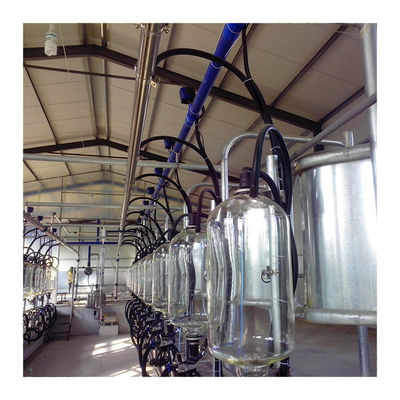 24-100 de Hoge Efficiënte Zuivelmachine van de de Melkende Woonkamer Melkveehouderij van de puntkoe