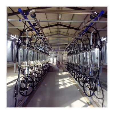 24-100 de Hoge Efficiënte Zuivelmachine van de de Melkende Woonkamer Melkveehouderij van de puntkoe