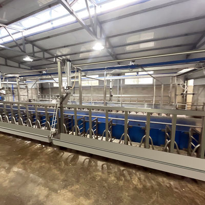 De Melkende Woonkamermateriaal van de schapen Parallel Snel Wijze Gemakkelijk te werken