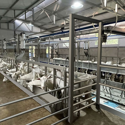 Van het de Melkende Woonkamermateriaal van de landbouwbedrijven Zuivel Hoge Productiviteit Flexibele de Geit Melkende Woonkamer