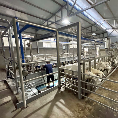 SUS304 de Melkende Woonkamer van de geitvisgraat het Voeden Trog Snelle Uitgangstype Pijpleiding
