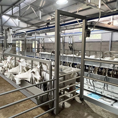 SUS304 de Melkende Woonkamer van de geitvisgraat het Voeden Trog Snelle Uitgangstype Pijpleiding