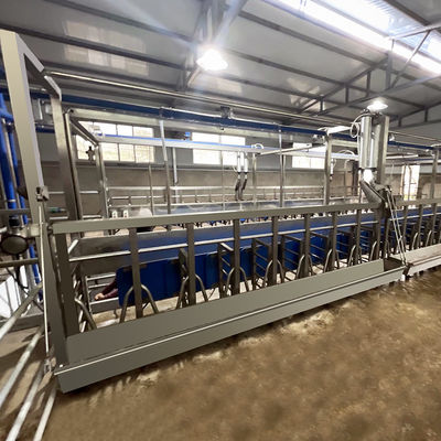 SUS304 de Melkende Woonkamer van de geitvisgraat het Voeden Trog Snelle Uitgangstype Pijpleiding
