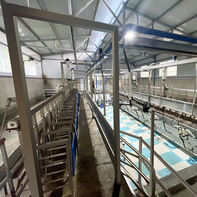 SUS304 de Melkende Woonkamer van de geitvisgraat het Voeden Trog Snelle Uitgangstype Pijpleiding