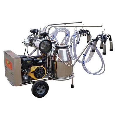 10-12 Cows/H-Elektrisch aangedreven de Koe Melkende Machine van de Kameelgeit
