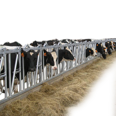 Zelfsluitend Comité van het het Veelandbouwbedrijf van het Koe Hoofdslot de Machinesmateriaal