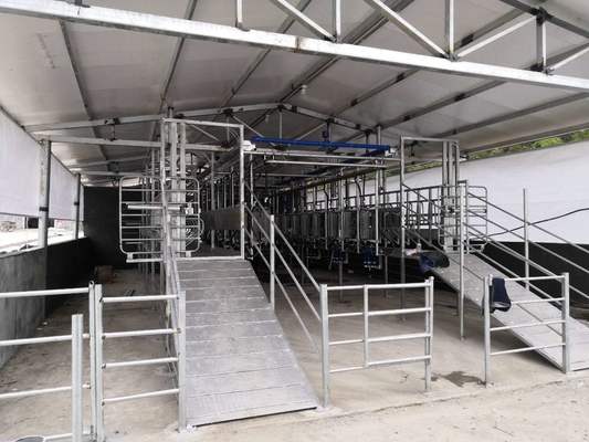 Van het de Melkende Machinesroestvrije staal van de Melkveehouderijgeit het Melkende Systeem